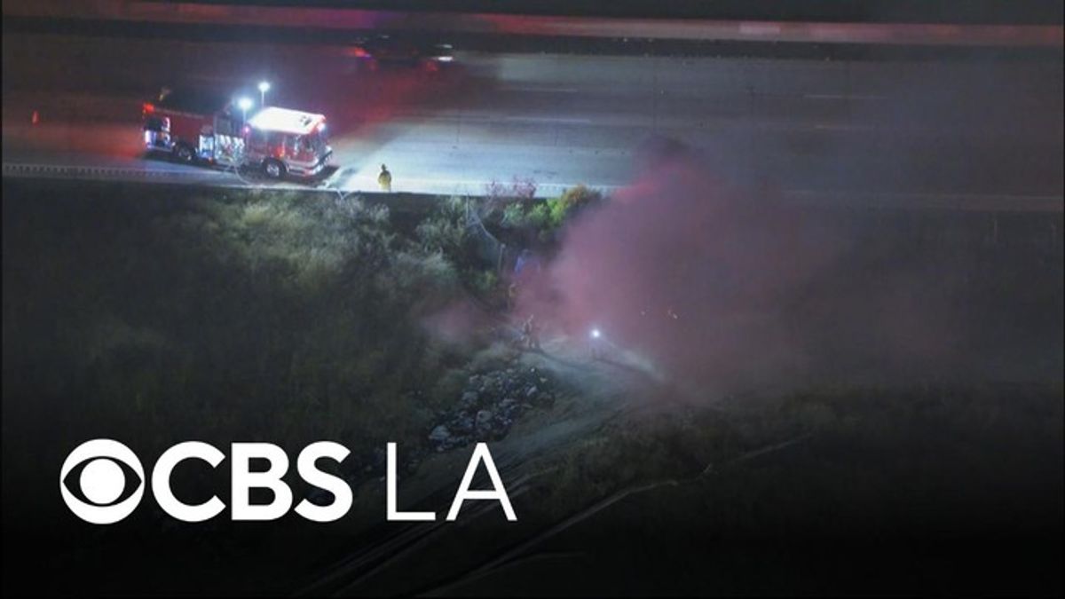 Fire burns under 110 Freeway in San Pedro | Haystack News