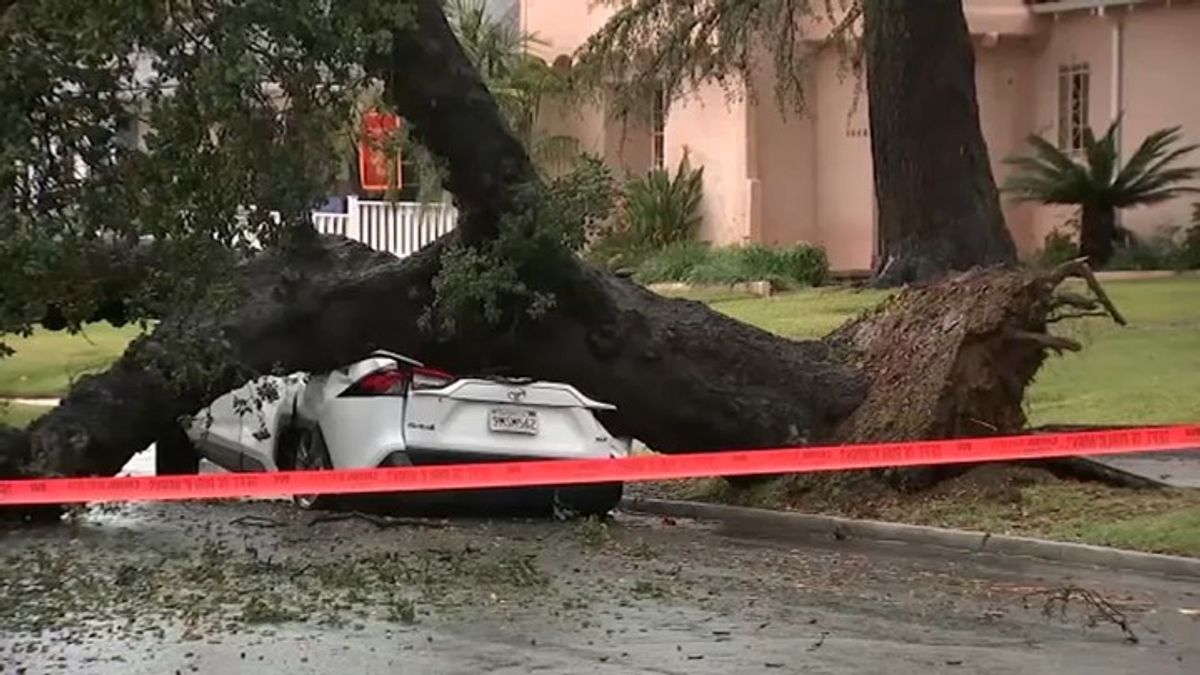 Tree smashes car in Altadena as Eaton Fire burn scar is hit with heavy ...