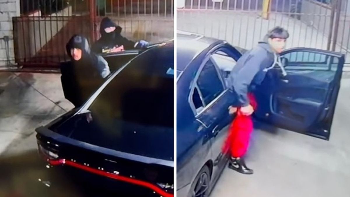 Group of thieves target muscle car in Studio City heist caught on video ...