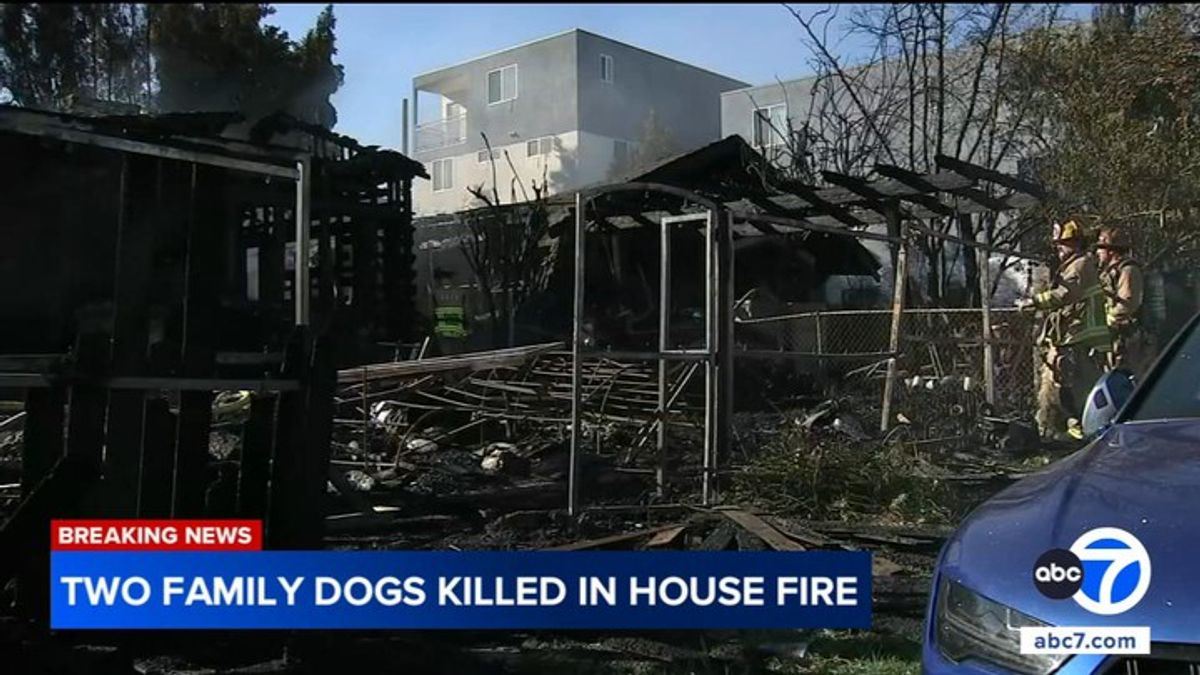 2 pet dogs killed after fire from vacant property spreads to California ...