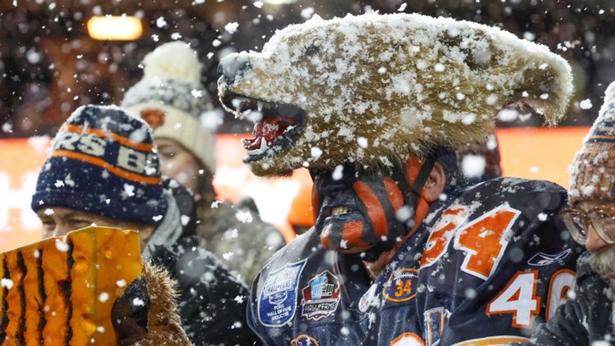 Chicago Bear-Rams playoff game: What to know as fans face subfreezing ...