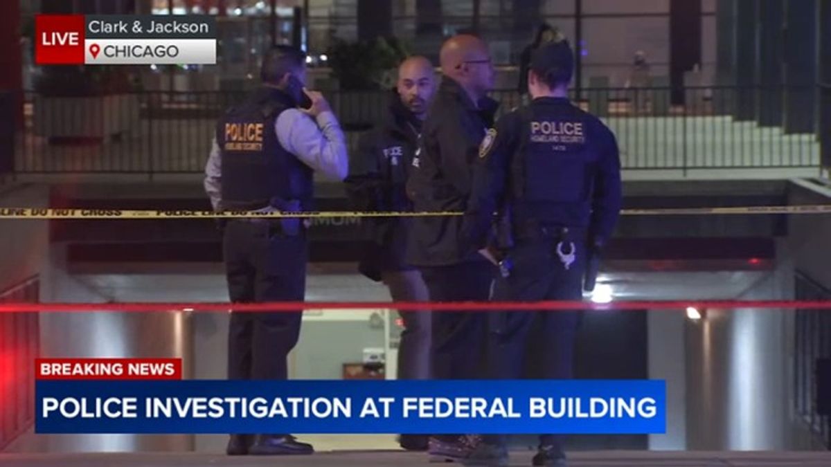 1 in custody after shots fired outside Chicago Federal Building, DHS ...