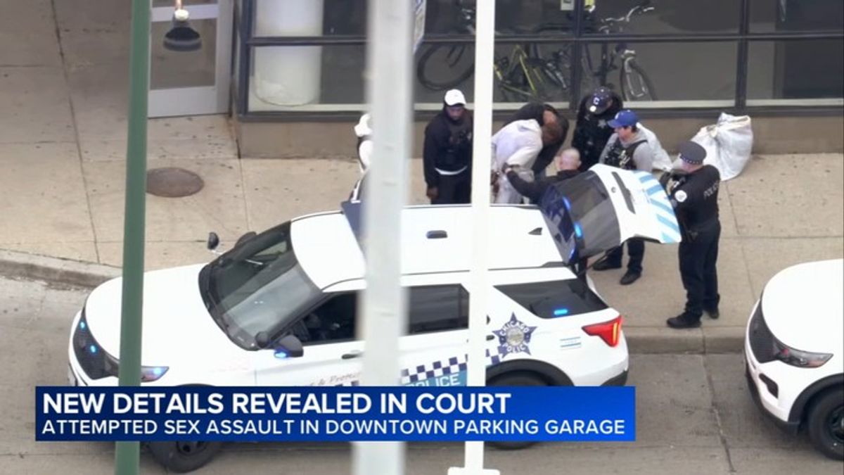 Attempted sex assault continued as witnesses tried to intervene in Loop