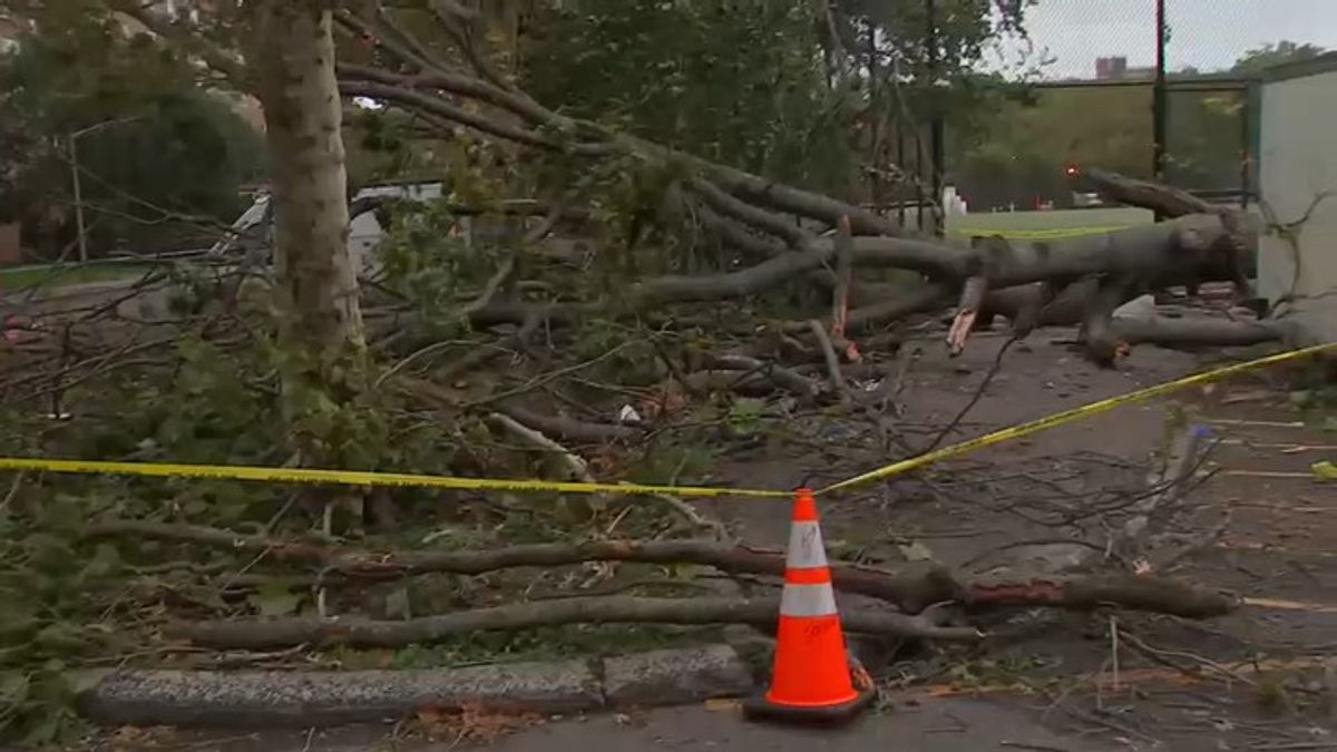 1 dead as wind from nor'easter topples trees in NYC; flood threat ...