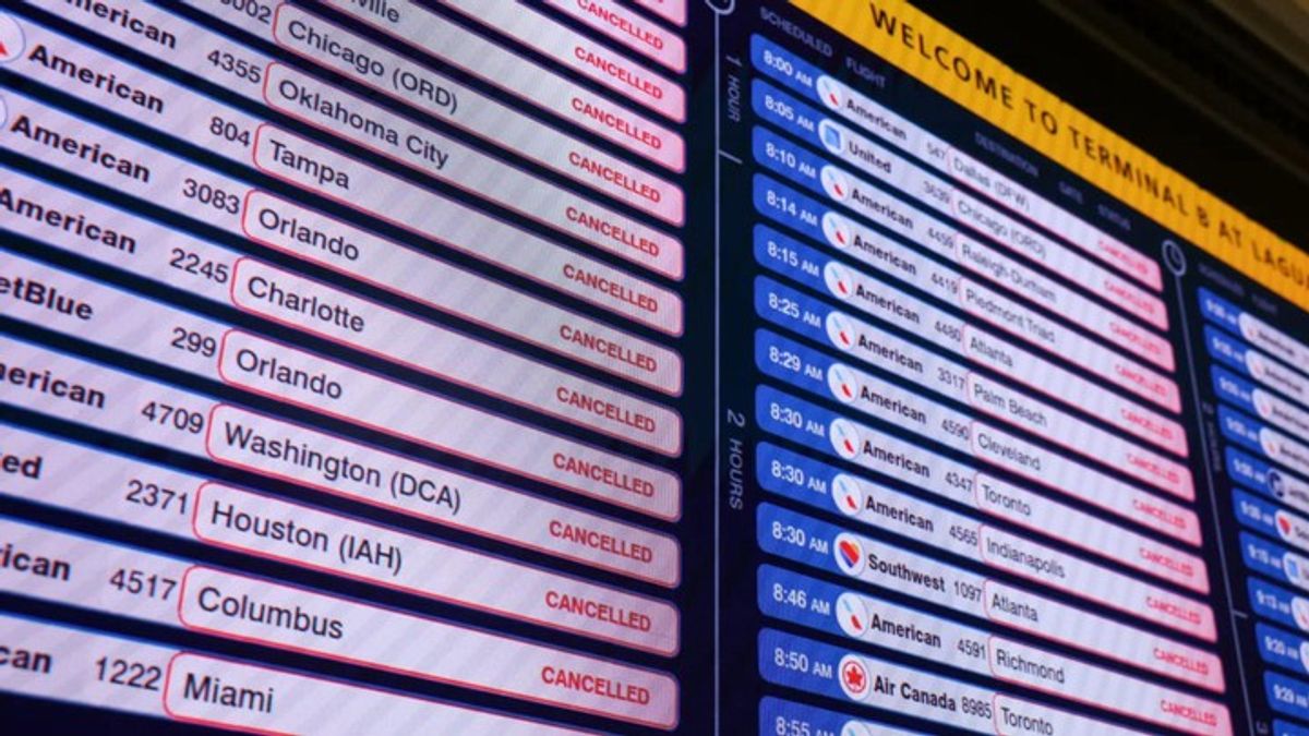 Massive blizzard halts travel across Northeast | Haystack News