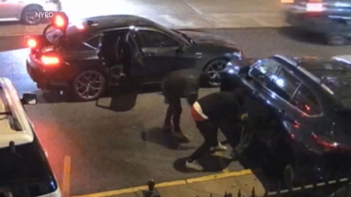 16 arrested in auto theft ring | Haystack News