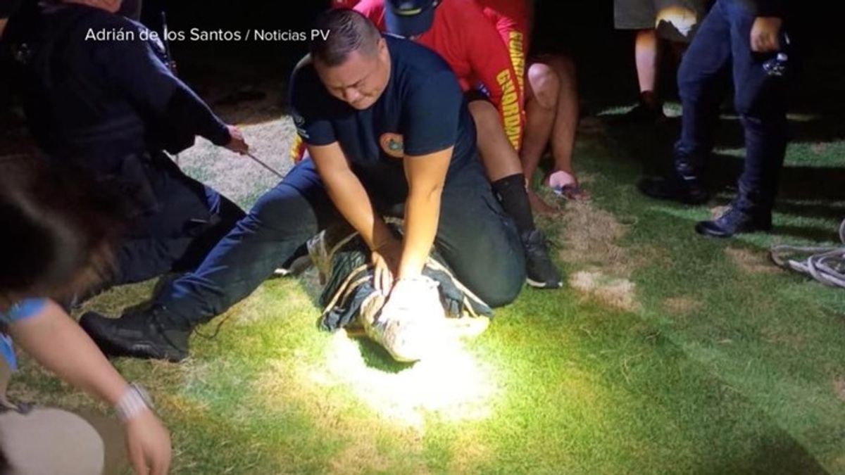 Florida woman killed after alligator attack in 3 feet of river water ...