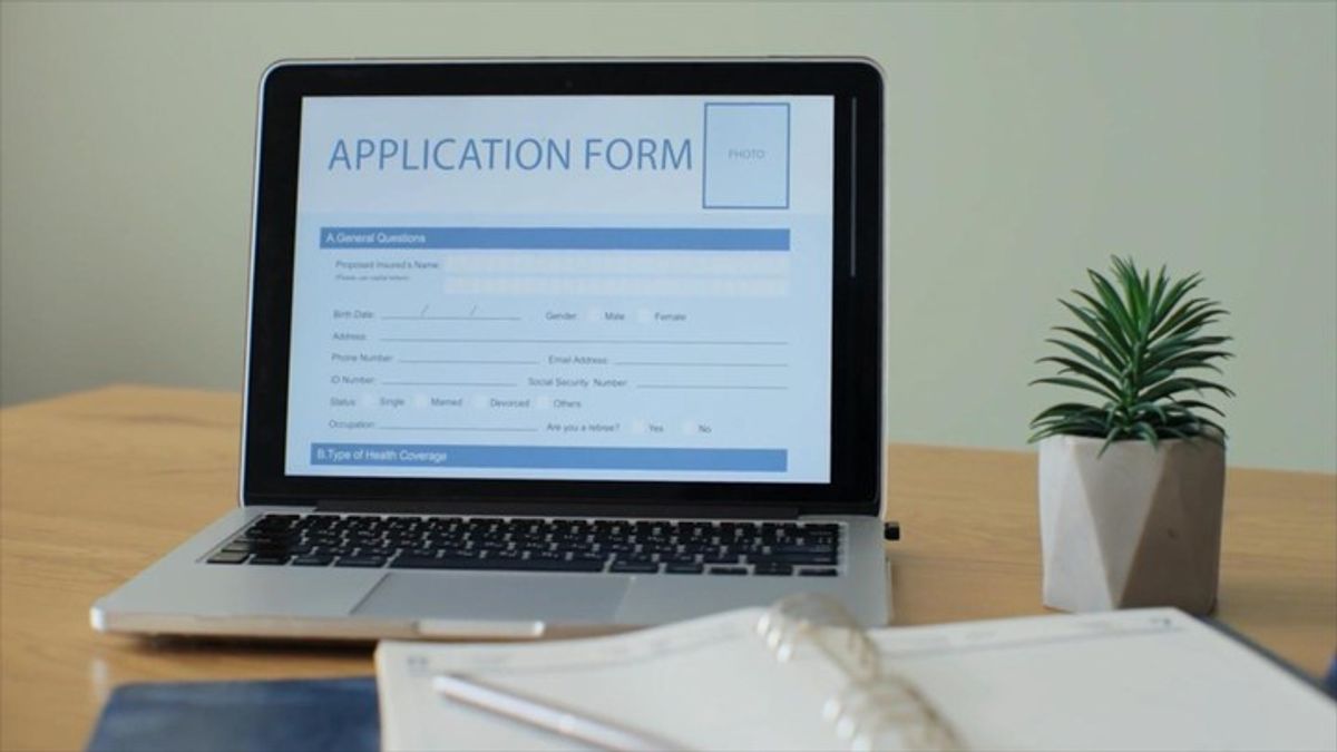 Students navigating AI job application process | Haystack News