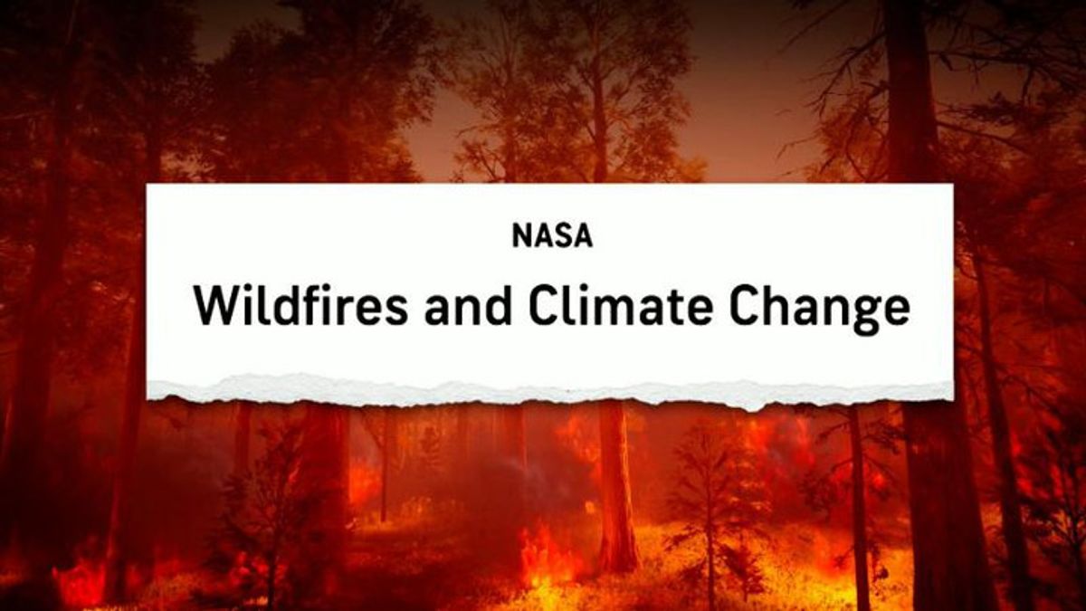 Wildfires and climate change | Haystack News