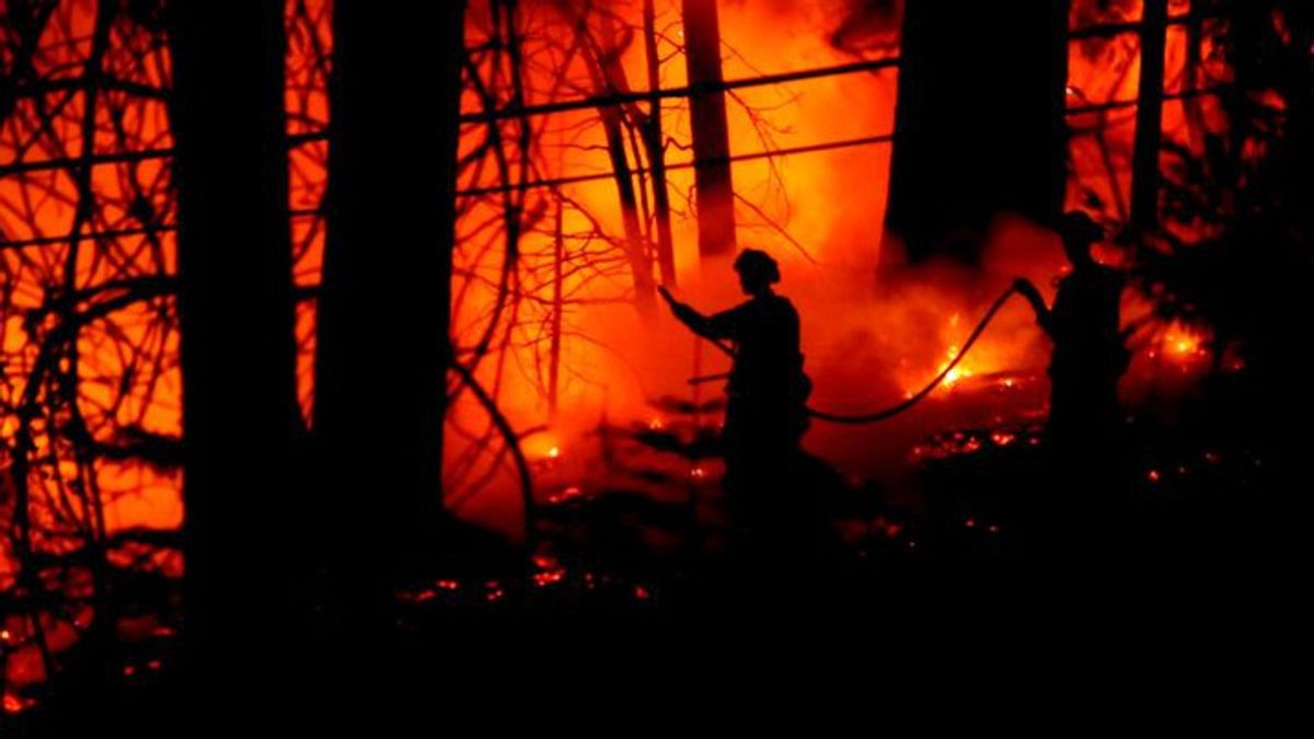 How do wildfires get their names? | Haystack News