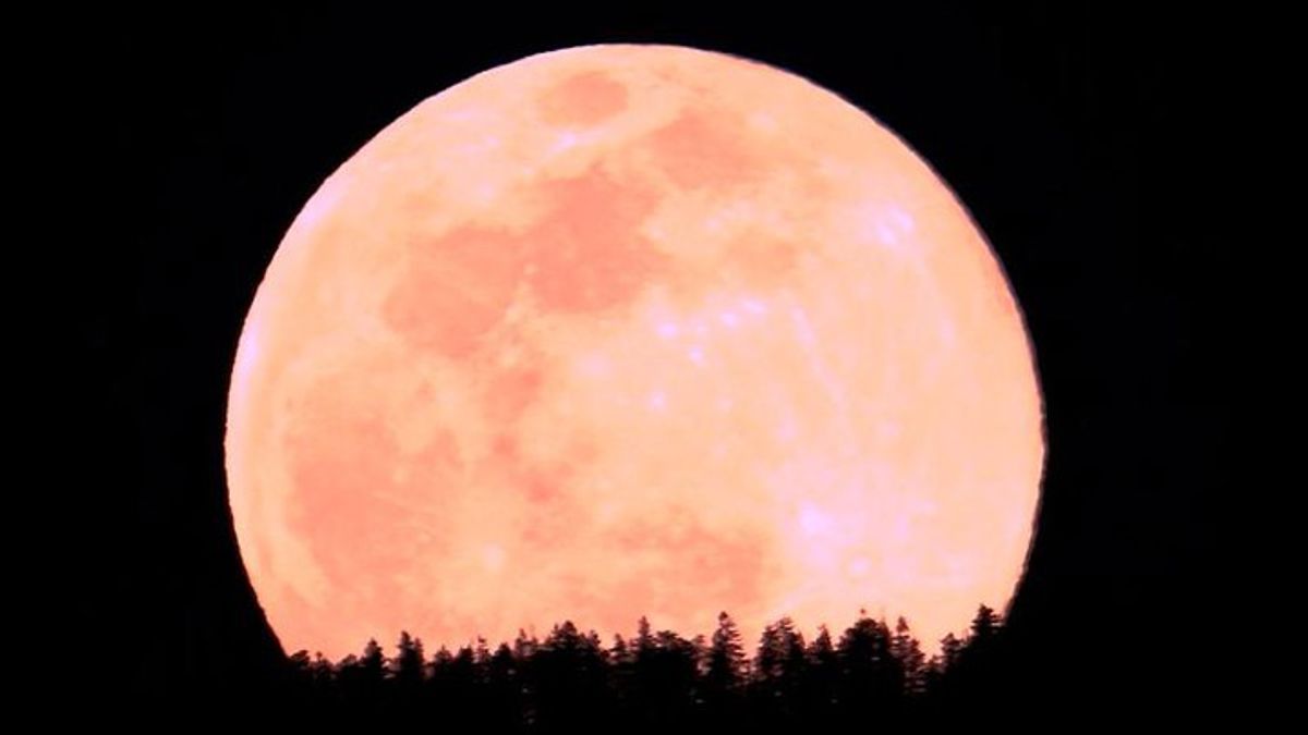 Take beautiful spring shots with the Pink Moon on April 12-13 ...