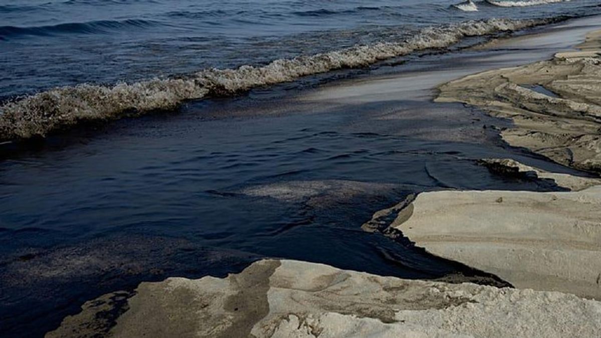Oil slick from Strait of Hormuz reaches UAE's northern coast | Haystack ...