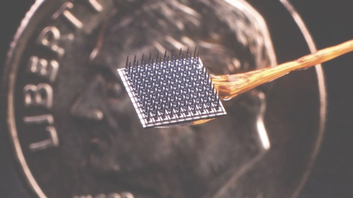 Hands-Free Typing: Could a Microchip Implant Shape the Future of Work ...