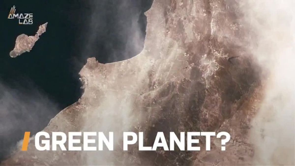 Scientists Say That Our Blue Oceans Are Actually Turning Green ...