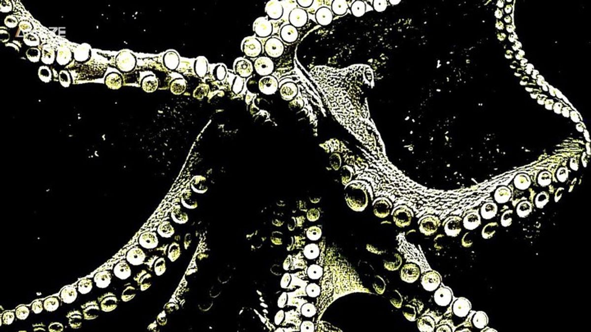 In Order to Adapt to a Changing Environment, Octopuses Can Edit Their ...