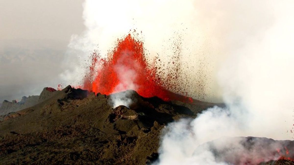 Geoscientists Say the Worst Extinction Event in History Was Caused by a ...