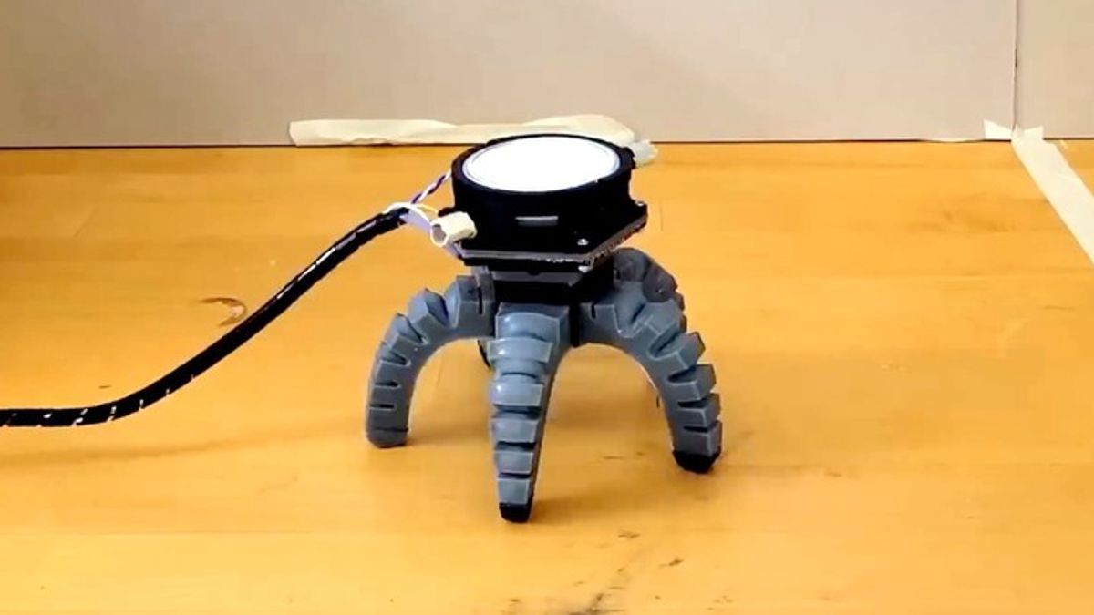 What is a Roboshroom? And Why Did It Have to Be Built?! | Haystack News