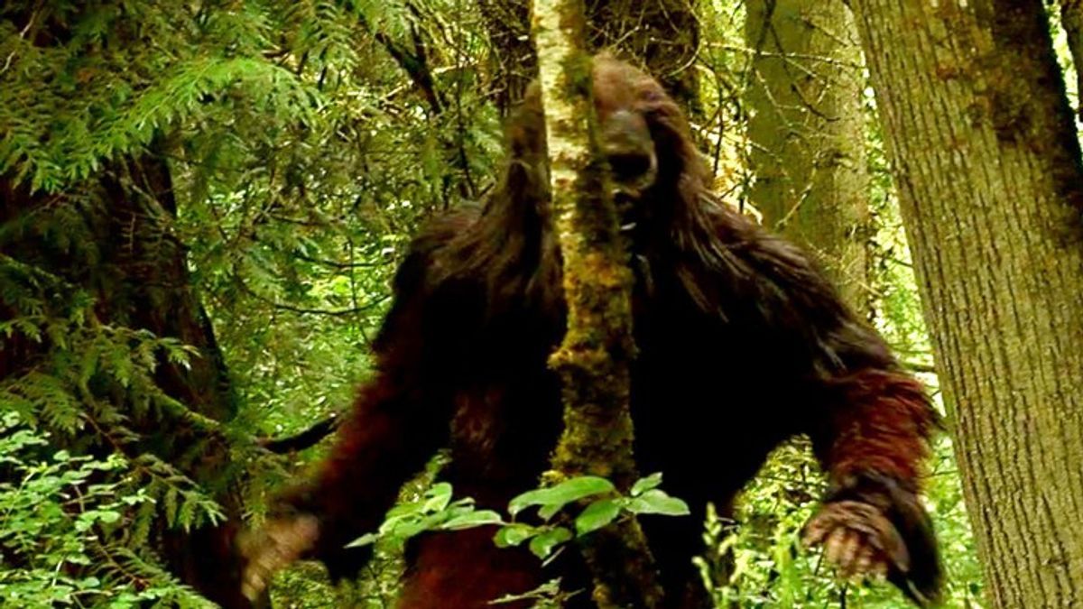 A Closer Look: Scientists Near an Answer in the Bigfoot Mystery ...