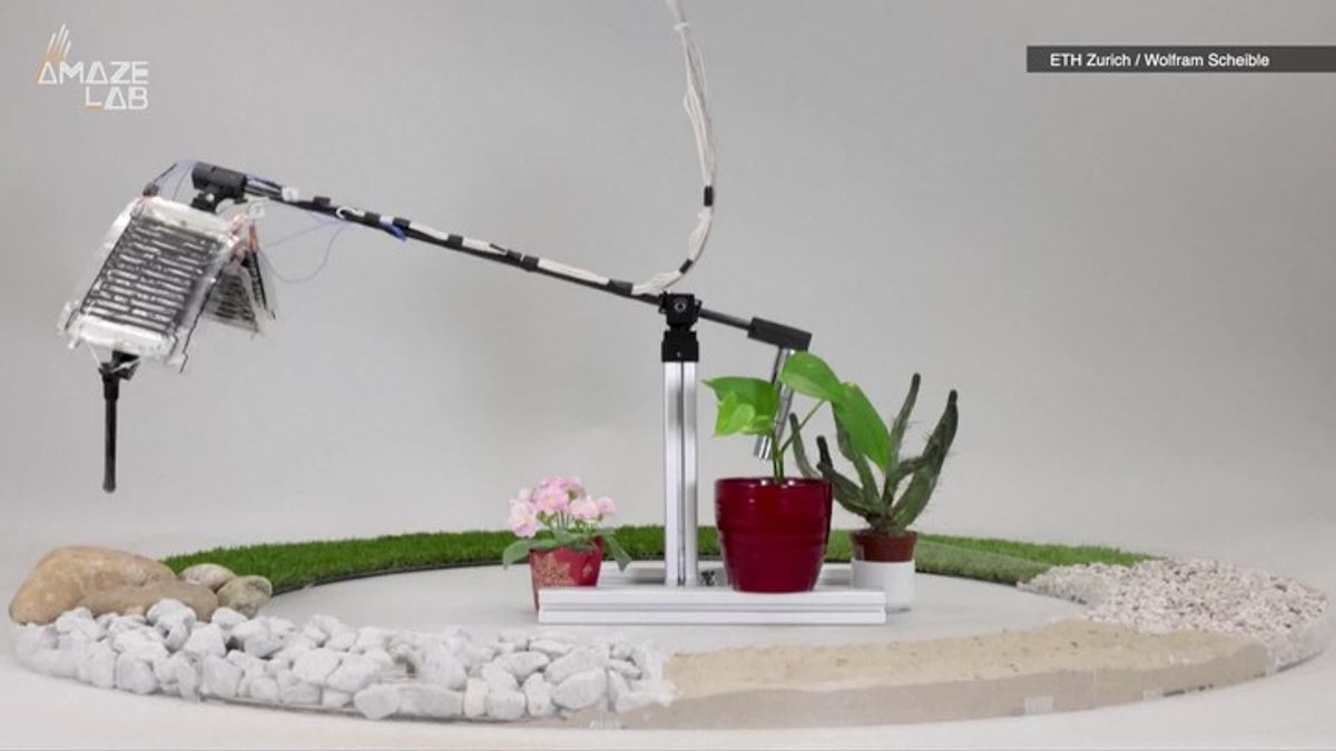 This Artificial Muscle Could Shape How Future Robots Move and Function ...