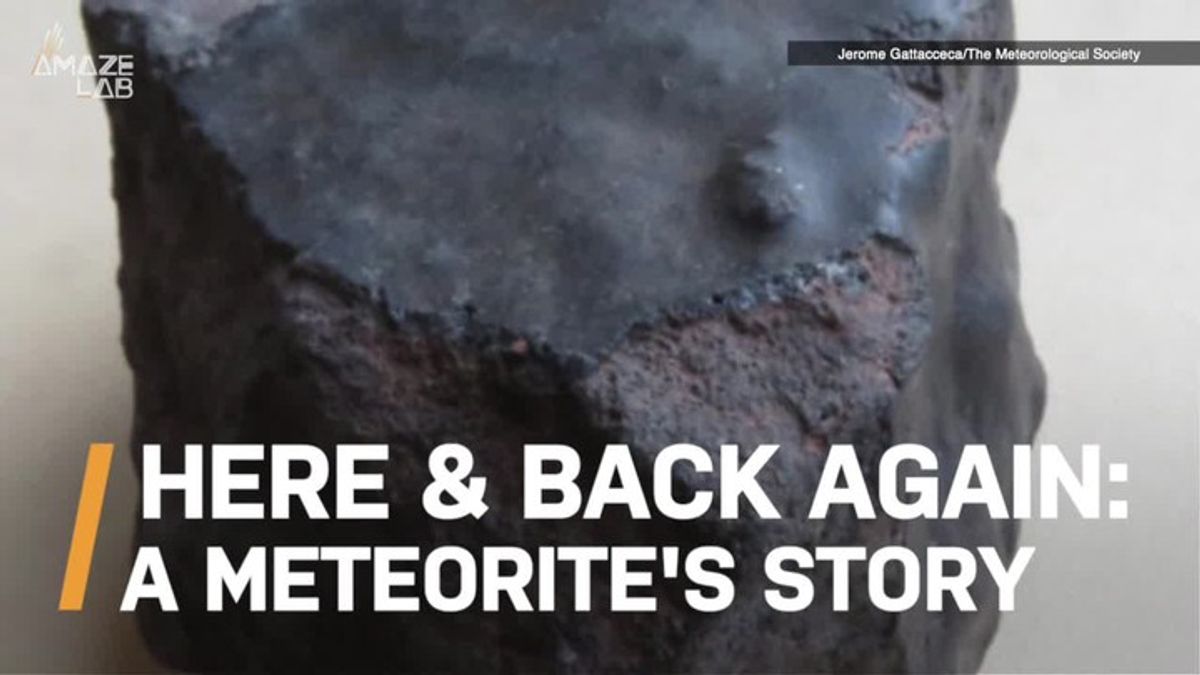 Rare Meteorite May Have Taken a Round Trip From Earth to Space and Back ...