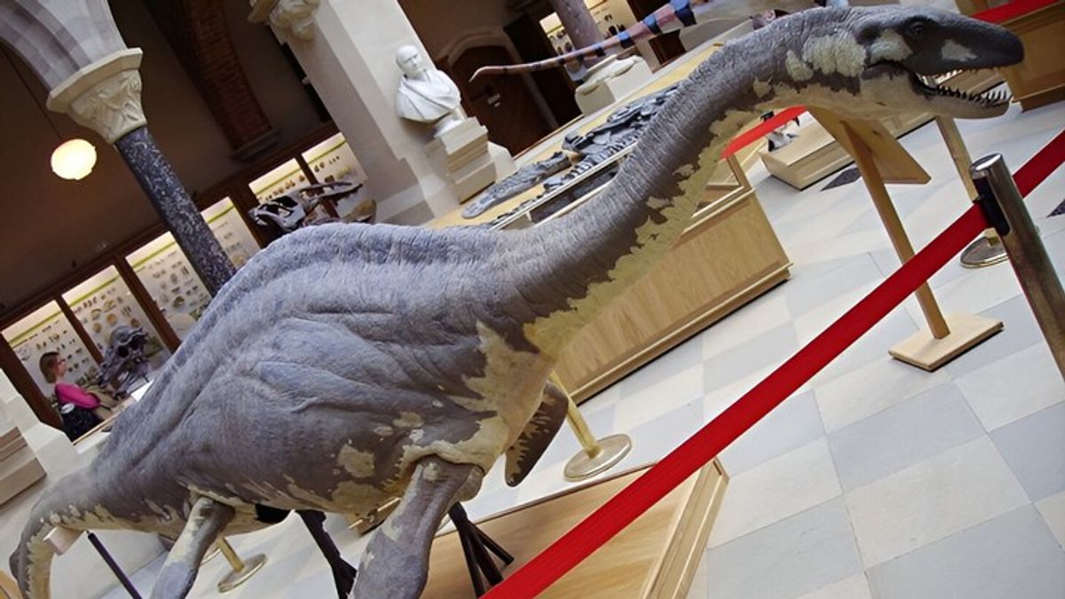A closer look at the real animals behind the world's legendary beasts ...