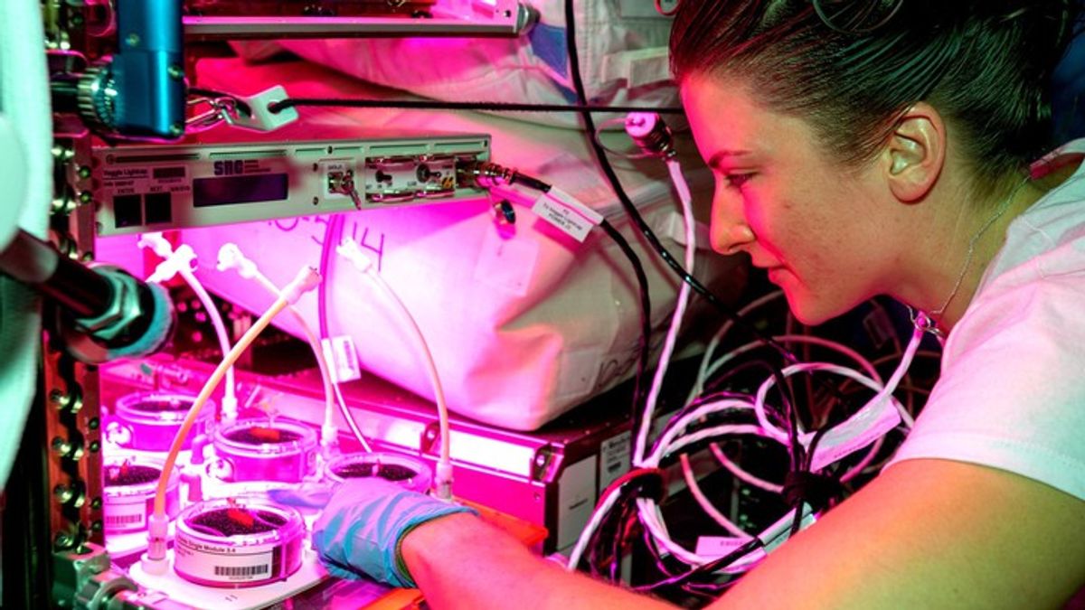 Behind the Lens: The Best ISS Photos of 2022 | Haystack News