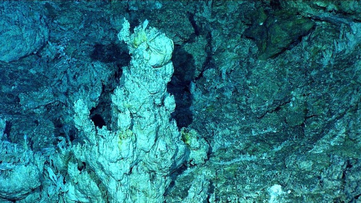 Could an ocean-bottom city hint at life on other worlds? | Haystack News
