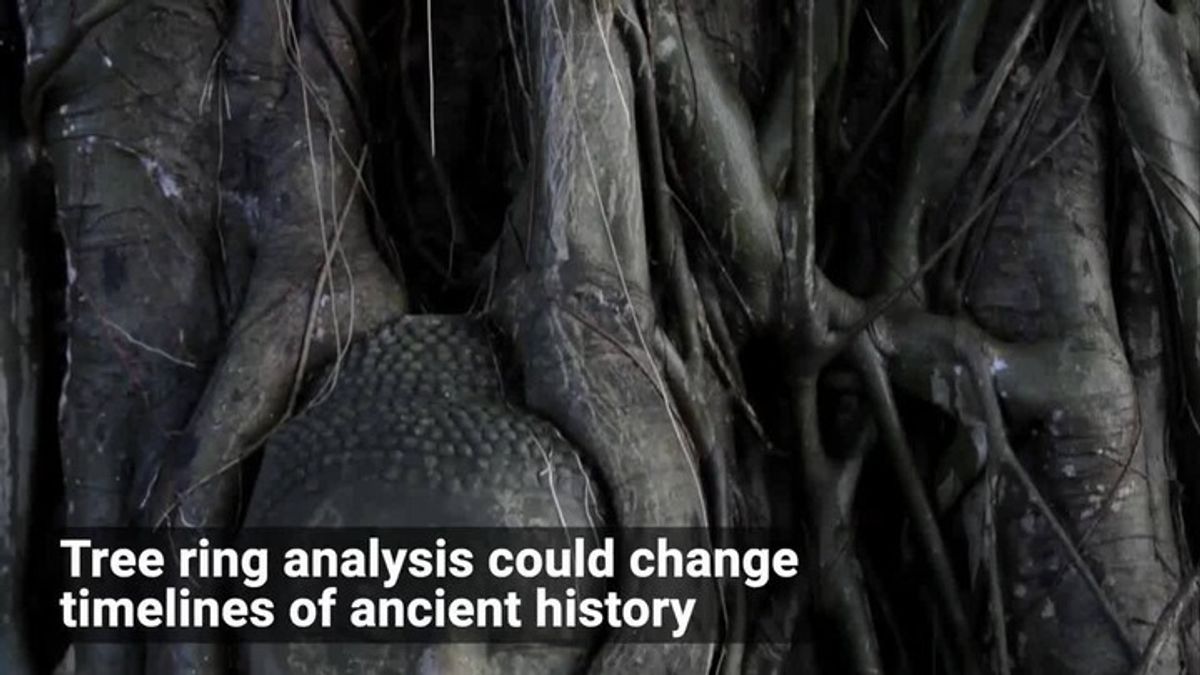 How Tree Rings Can Reveal Timelines From the Ancient World | Haystack News