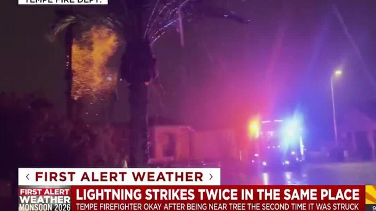 Lightning strikes same tree twice in Tempe | Haystack News