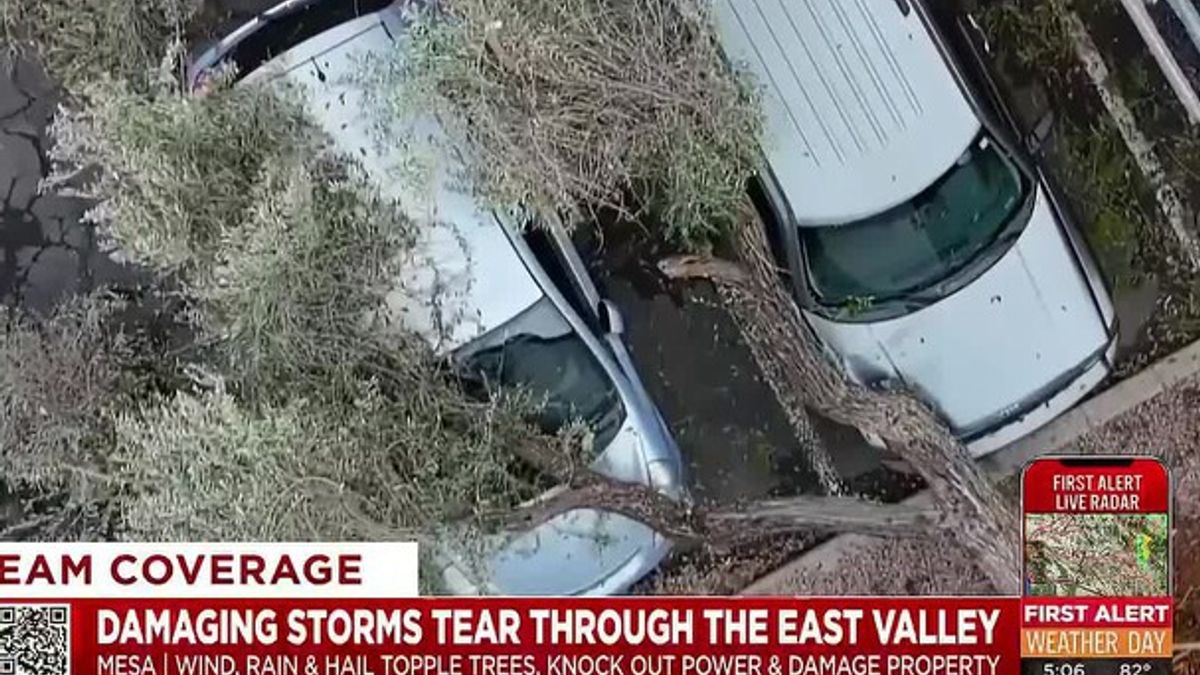 Storm uproots trees, crushes cars at Mesa apartment complex | Haystack News