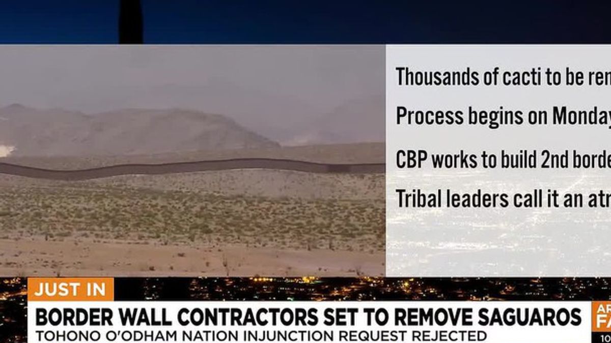 Border patrol to remove thousands of saguaros in Arizona for wall ...