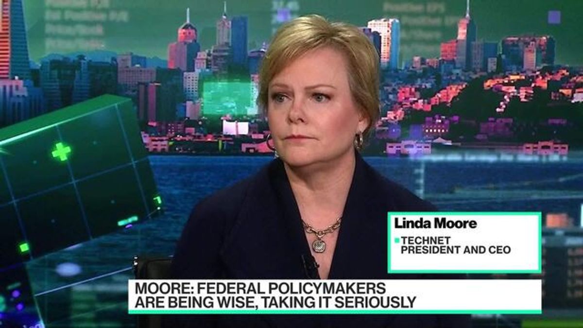TechNet CEO: AI Regulation Will Take Time | Haystack News