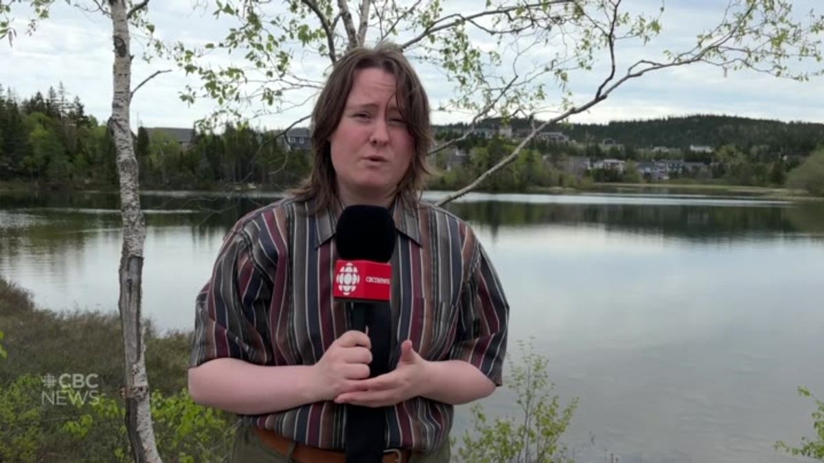 Hundreds of goldfish pulled from pond in western Newfoundland ...