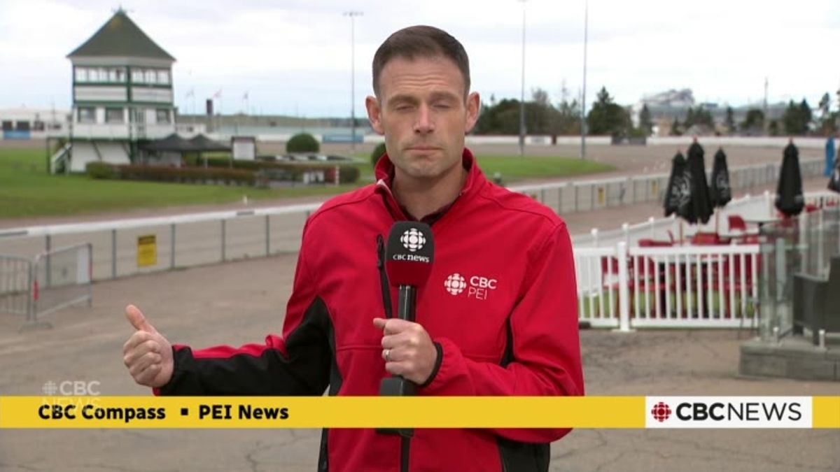 After suspension, top P.E.I. harness racing trainer says she didn't ...