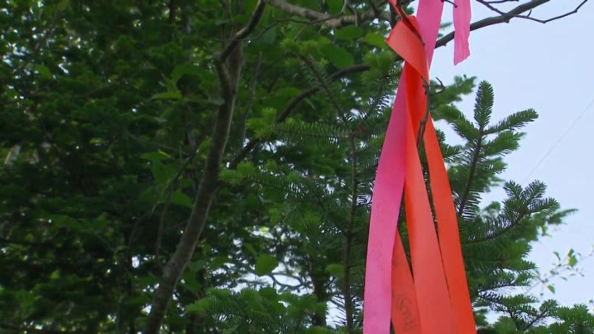 Polygraph in case of missing N.S. children focused on pink blanket ...