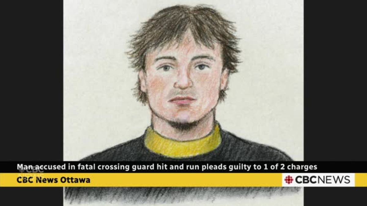 Accused in fatal crossing guard hit and run pleads guilty to 1 of 2 ...