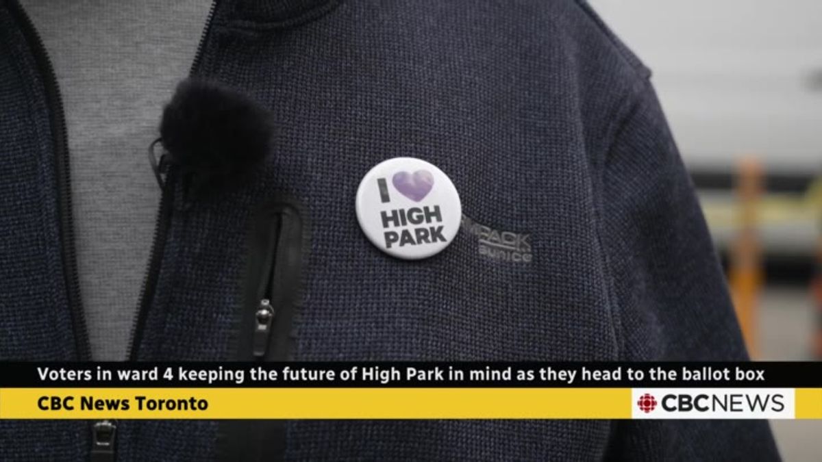 Why High Park's car-limiting redesign is splitting voters in Ward 4 ...