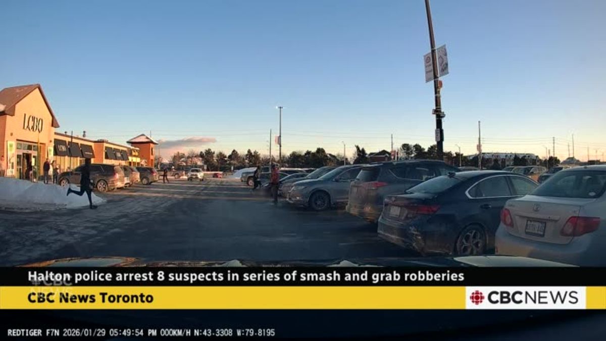 Halton police arrest 8 in series of smash-and-grab jewelry store ...