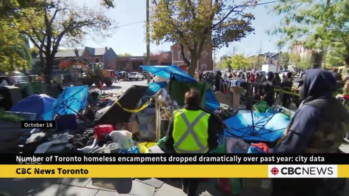 Toronto sees dramatic drop in homeless encampments, city says ...