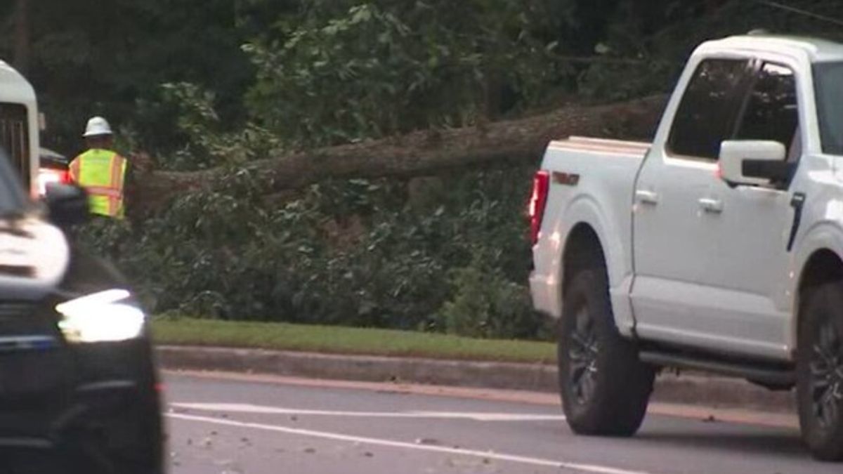 Fallen tree blocks busy Sandy Springs road | Haystack News