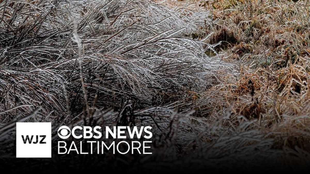 Baltimore declares first Code Blue Extreme Cold Alert of season ...