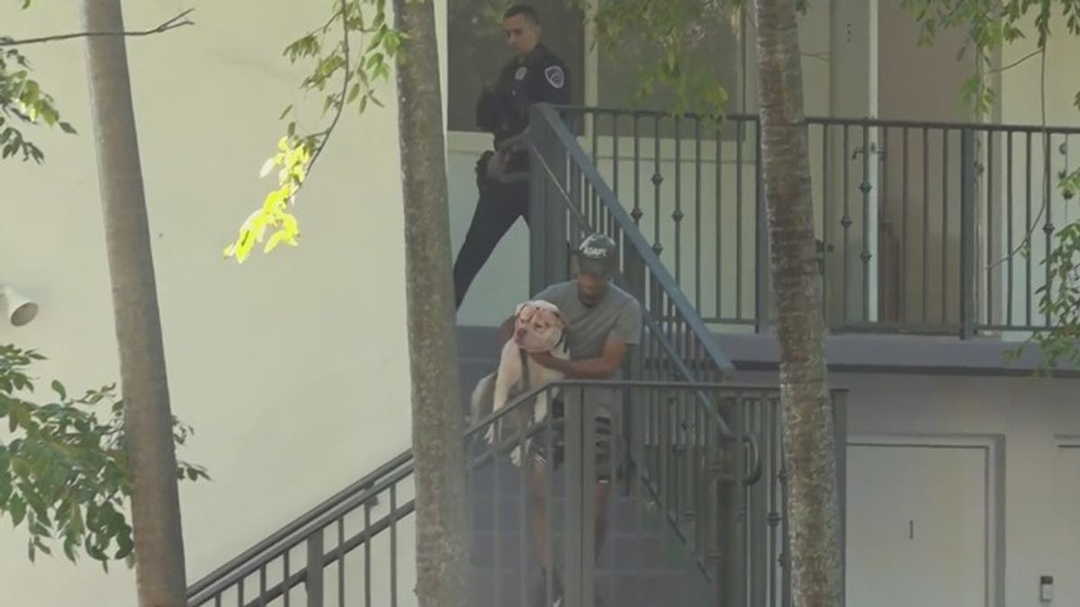 14-month-old boy hospitalized after being attacked by family dog in ...