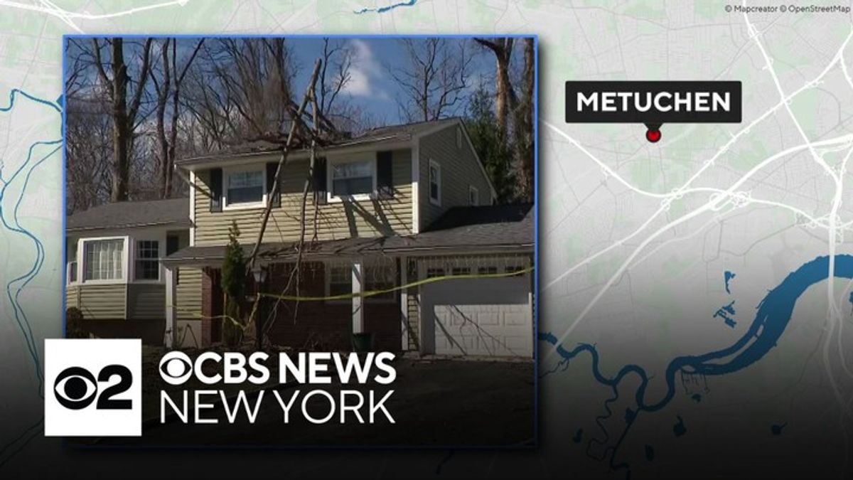 Fallen tree slices home in half in Metuchen, New Jersey | Haystack News