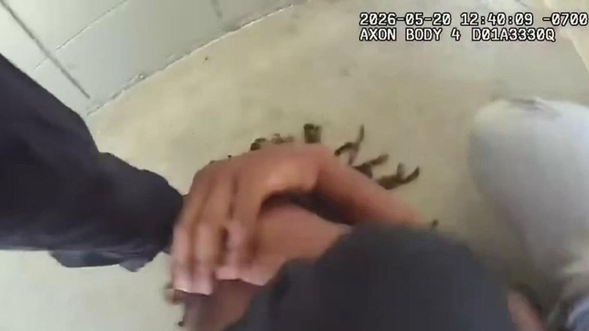 Video shows police arresting Fairfield High School students after fight ...