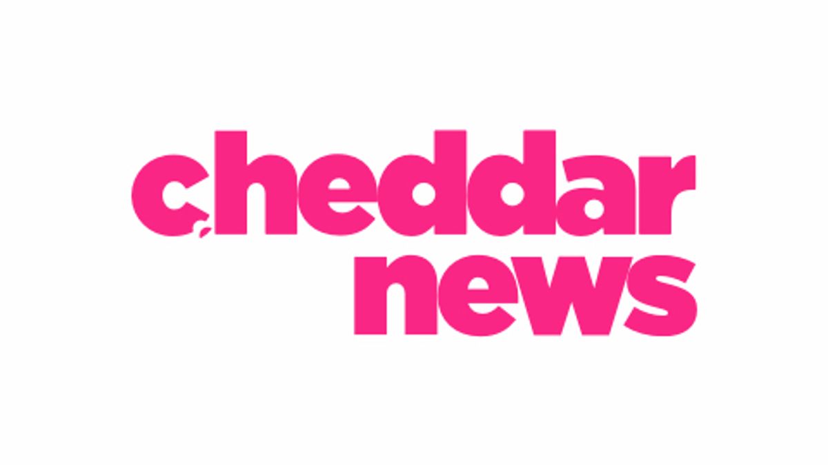 Cheddar News Live | Haystack News