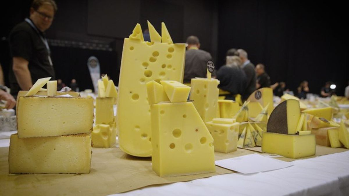 How do you judge the world’s best cheese? | Haystack News