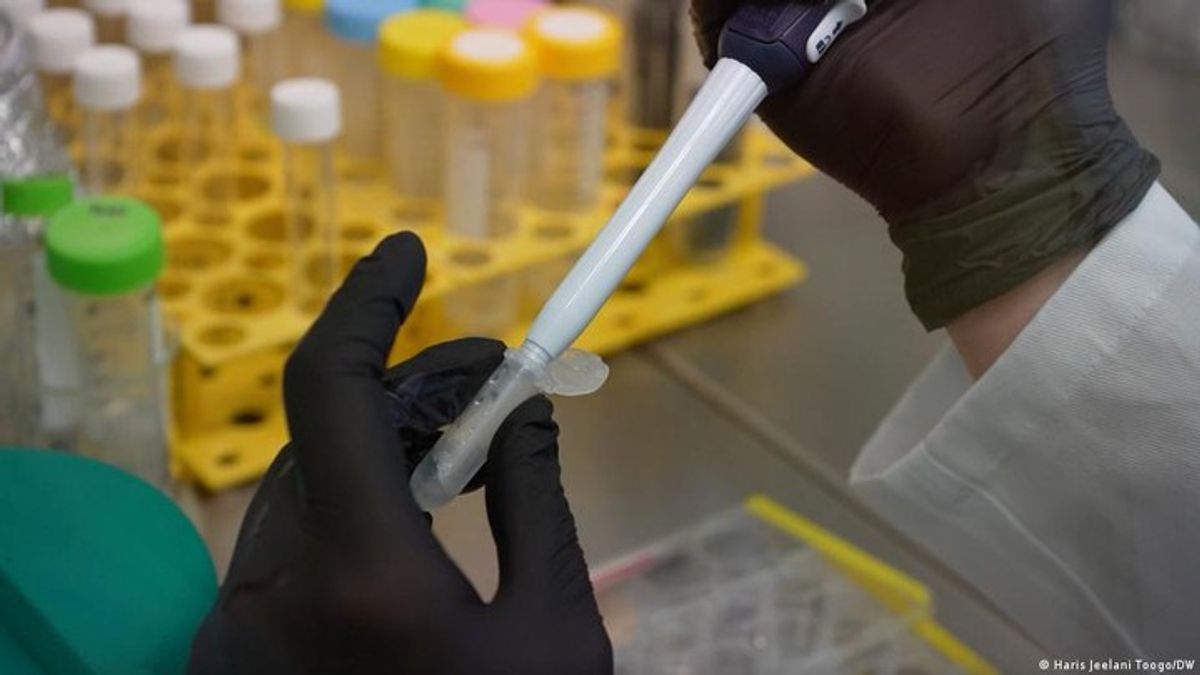 Czech innovation aims to reduce animal testing in labs | Haystack News