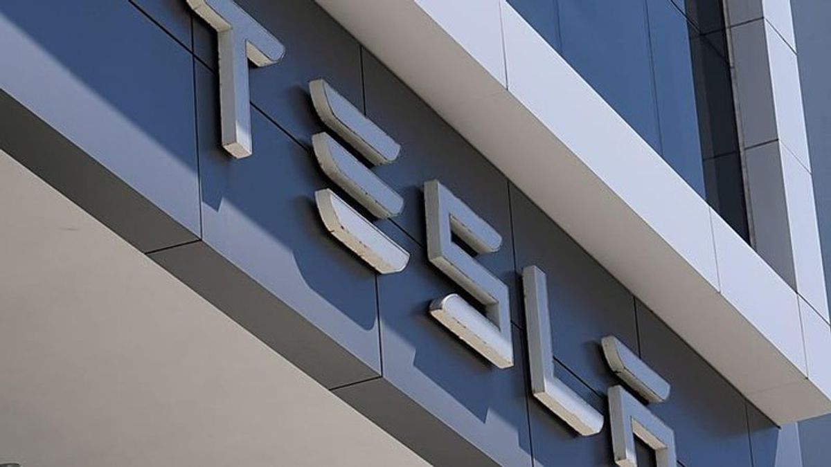 Tesla's profit drops as it explores a possible merger with Musk's other ...