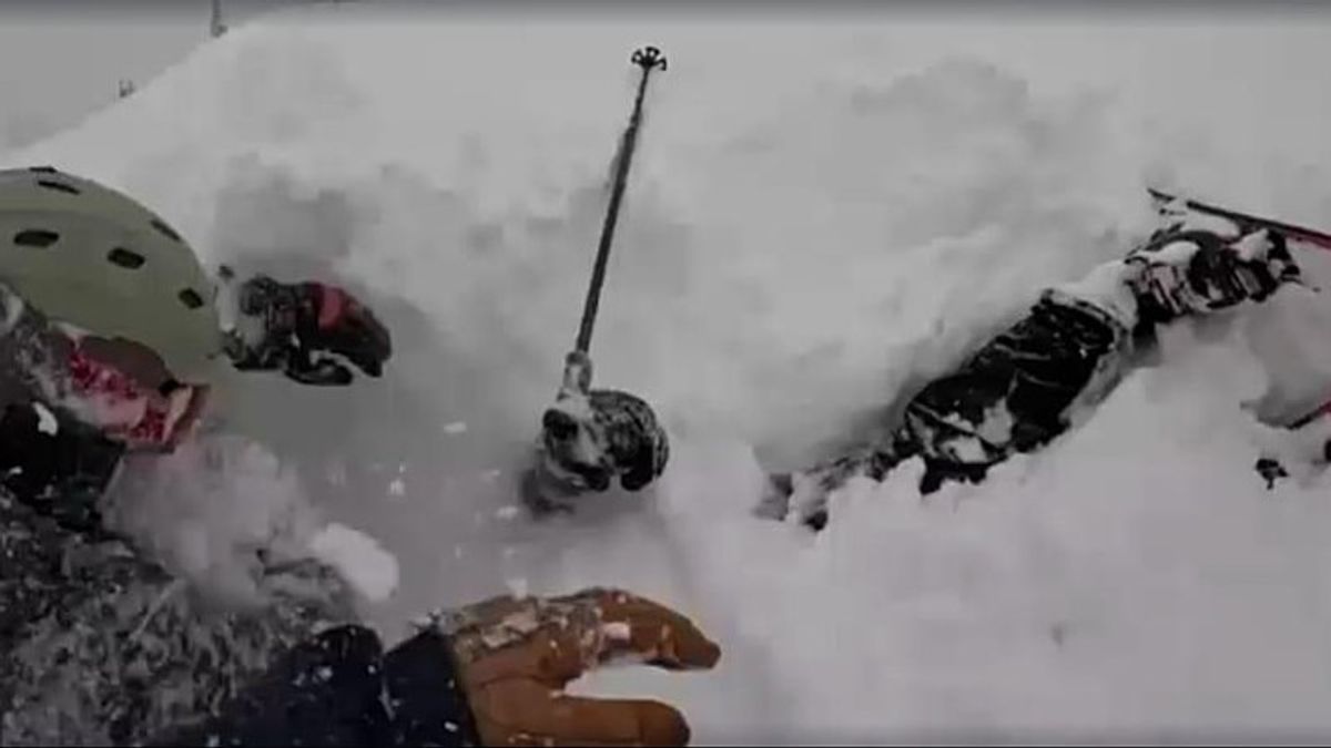 Dramatic rescue: Skier pulled alive from deep snow in California ...