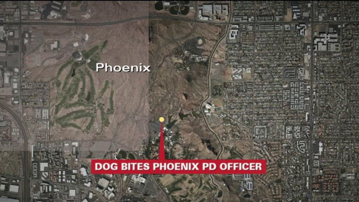 Phoenix officer hospitalized after trying to rescue dog from hot car ...